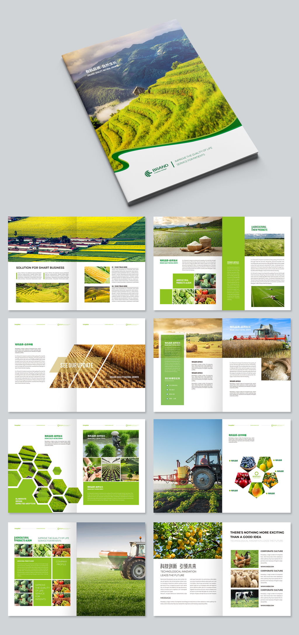 原创绿色简约现代农业农产品生态农业宣传册模板-版权可商用